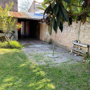 andrade 2542