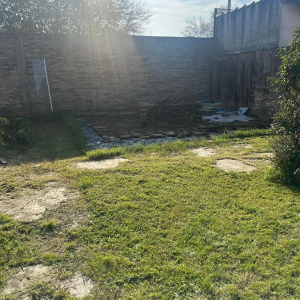 santa isabel 335