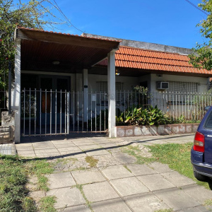 andrade 2542
