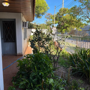 andrade 2542